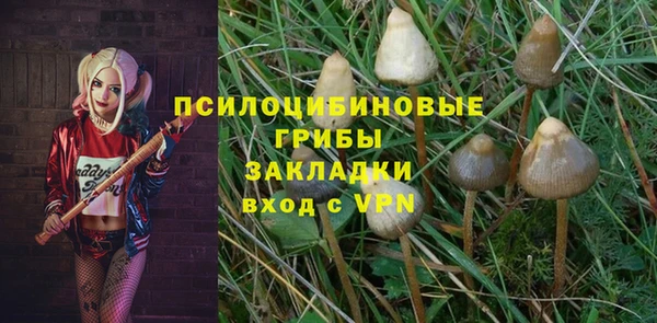 соль ск Дмитров