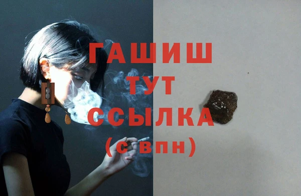 соль ск Дмитров