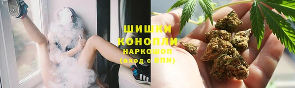 соль ск Дмитров